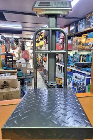 Scale 300kgs Platform/ Digital Weighing Scale Accurate