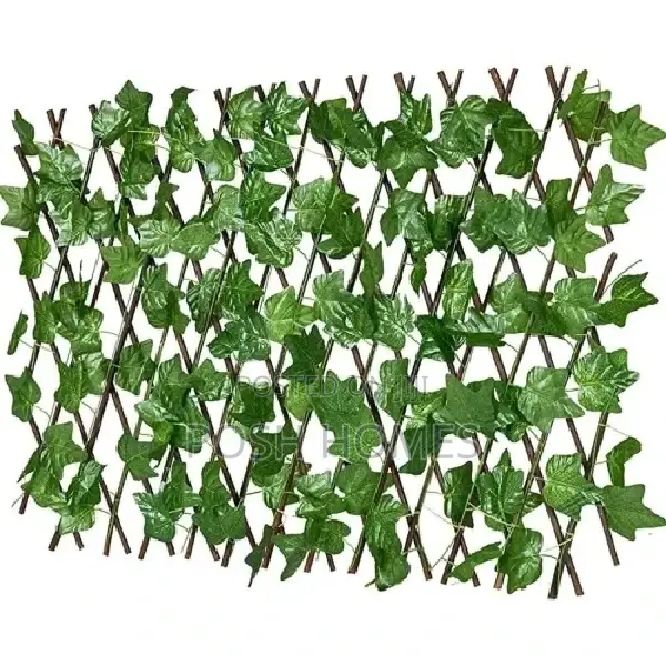 Bamboo Extendable Plastic Fence