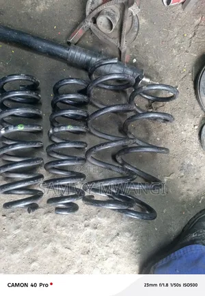 Nissan Serena 2016 Heavy Duty Coil Spring 2500