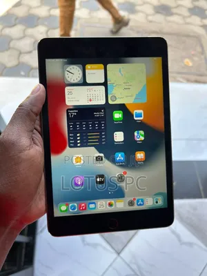 Apple iPad mini 4 128 GB Gray