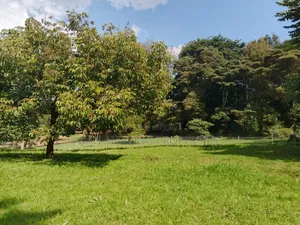 100 by 100 Fully Serviced Plots in Ngong for Sale Purely Residential