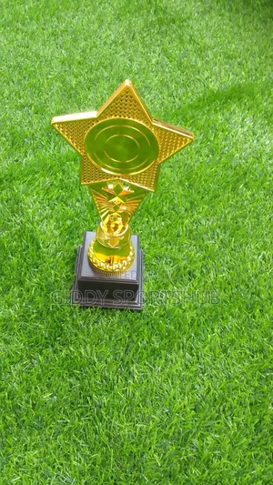 Trophy for Executive or Gift