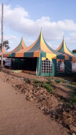 Green Orange 100 Seater Tent