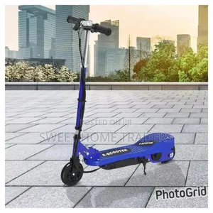 Folding Electric Scooter 