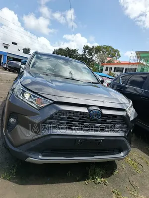 Toyota RAV4 Hybrid 2020 Gray