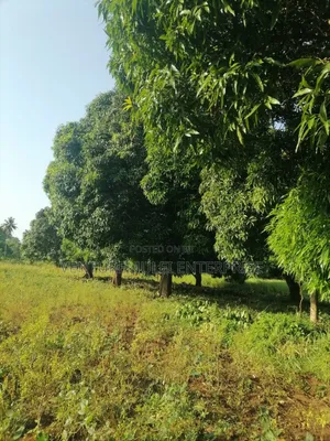 Land for Sale Lunga Lunga in Kwale County It's 28acreas
