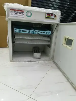 Ac 352 Egg Incubator
