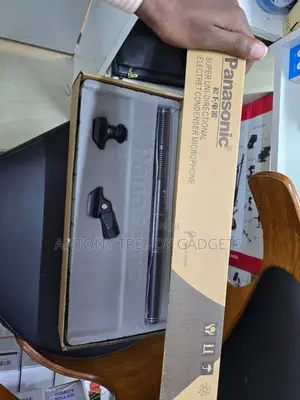 Panasonic Uni-Directional Condenser Microphone for Recording
