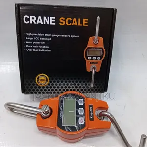 300kgs Crane Scale) Affordable Weighing Crane Scale