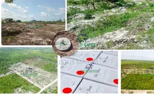 100 by 50 Beach Plot for Sale in Malindi