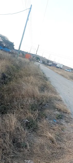 Hot Deal! Mega Price Drop!! A Plot Just 50m Off Kangundo Rd in Malaa.