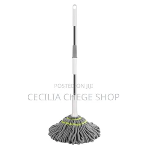 Self Wringing Mop