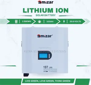 Amizar 2.56kwh 25.6v 100ah Lithium-Ion Solar Battery