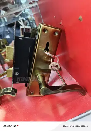 Panel/Flush Door, Door Locks