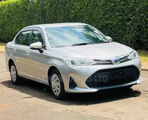Toyota Axio 2018 Silver