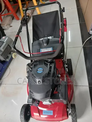 Lawn Mower - 4hp