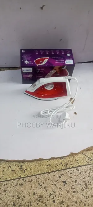Commercial Iron Box
