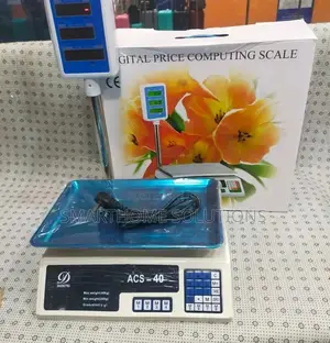 Tlac 30 KGS Weighing Scale With Arm 1 Year Warranty