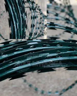 Easy Installation PVC Razor Wire 