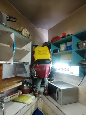 Kitchen Cockroaches Services