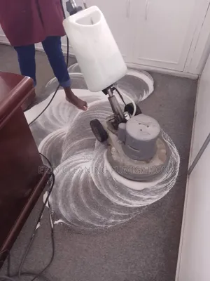 Same Day Pest and Carpet Cleaning