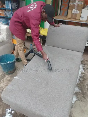 Quick Sofa Cleaning Up