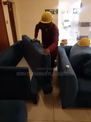 Sofa Couch Cleaning Services
