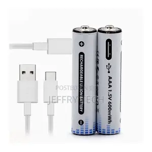 2 Aaa Rechargeable Lithium-Ion Type C Batteries