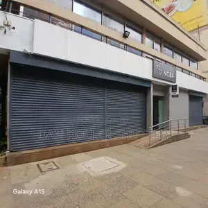 Seciurity Door