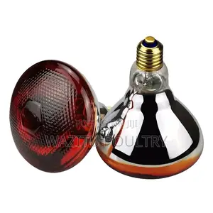 Warm Bulb For Poultry