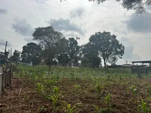 Land for Sale or Jv Allowed