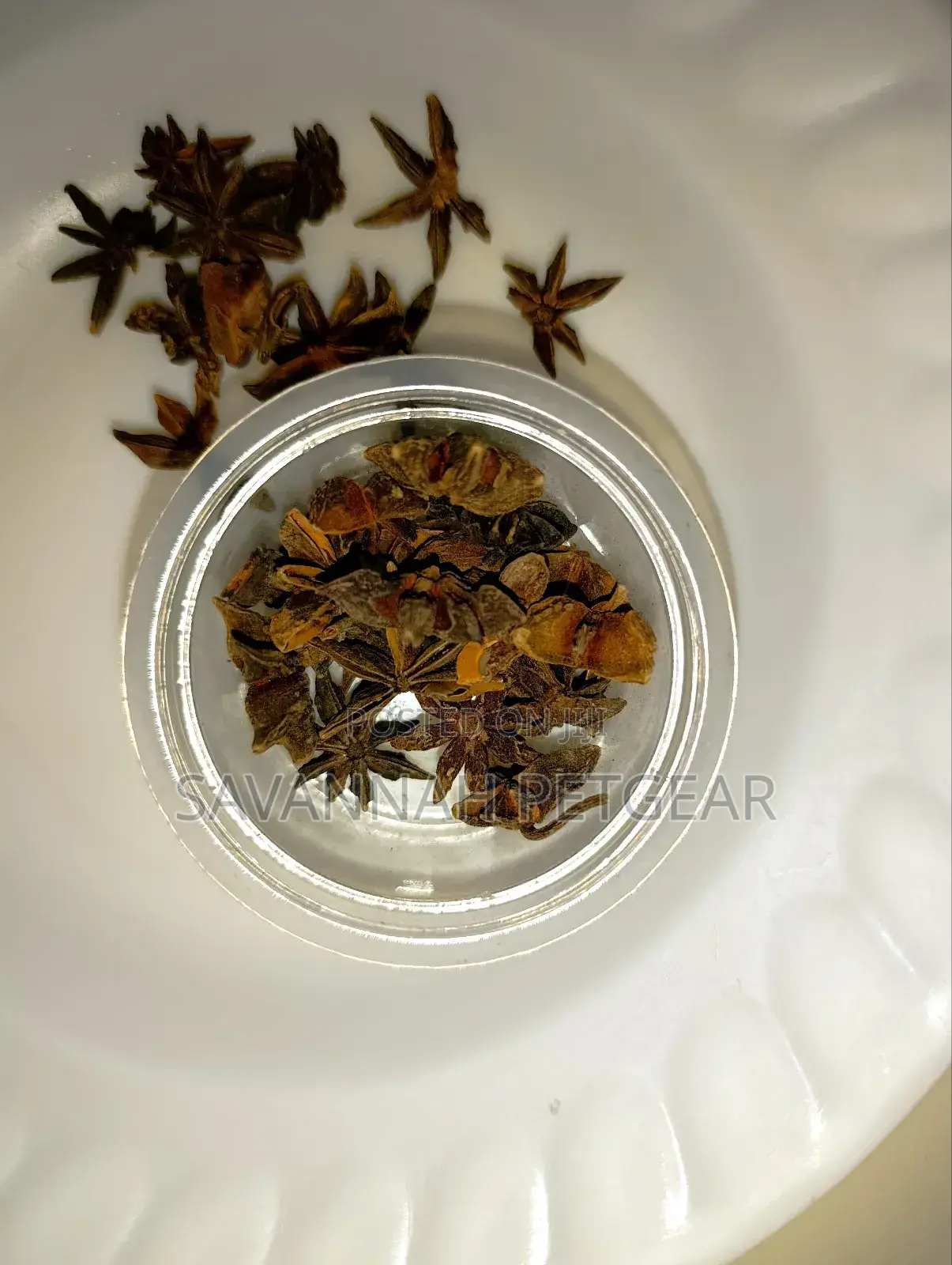 Star Aniseed Premium Grade
