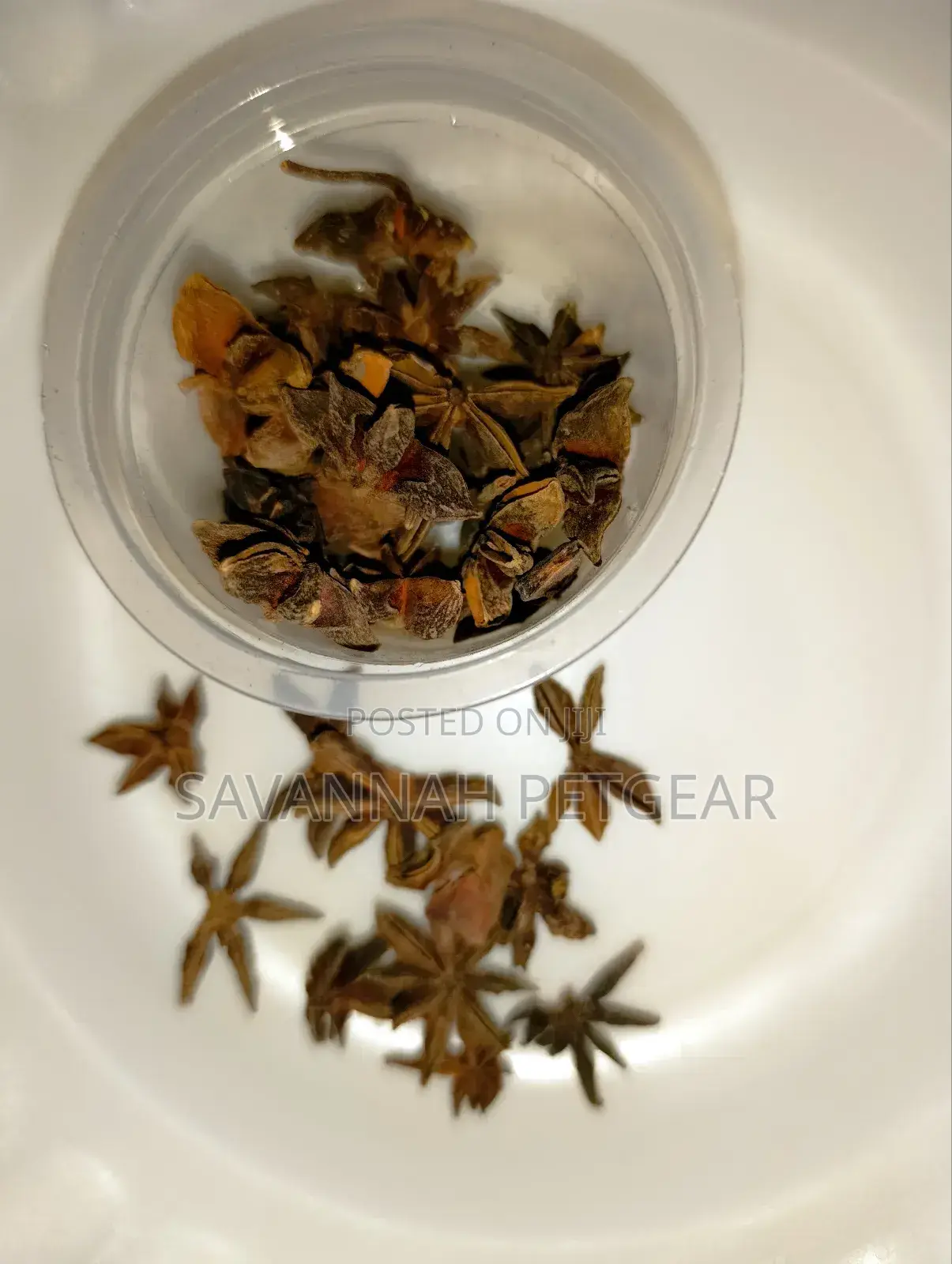 Star Aniseed Premium Grade
