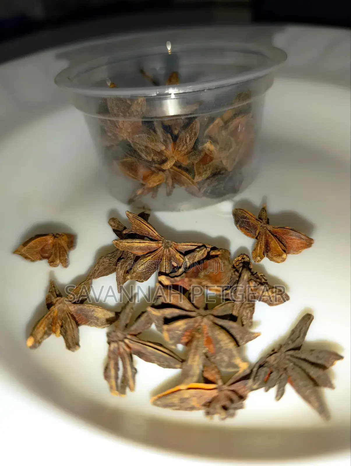 Star Aniseed Premium Grade