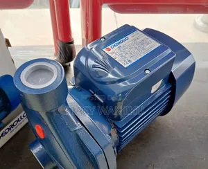 1hp Pedrollo Water Pump Machine/ Electric Pedrollo Water Pump