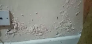 Damp-Rise Treatment – Premium Solutions for Lasting Protection!