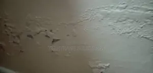 Damp-Rise Treatment – Premium Solutions for Lasting Protection!