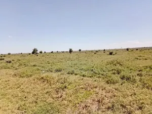 7 Acres From Kajiado Town to Level 5 Hospital/County/Land Offices