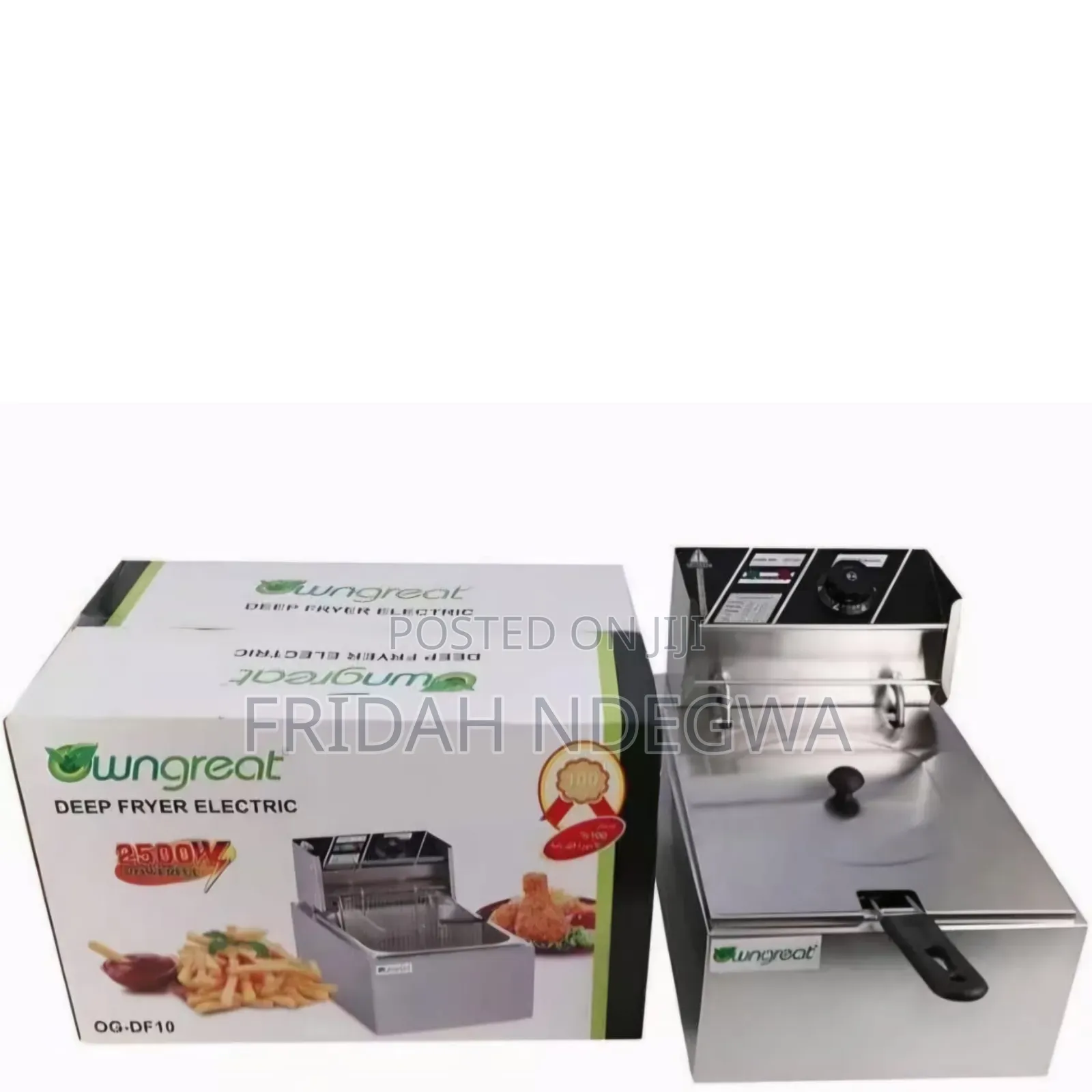 Owngreat 6 Litre Single Deep Fryer *2500 Watts*