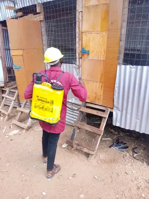Fumigation Services in Mirema Drive