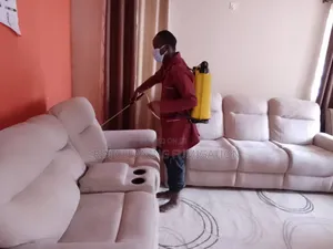 A Clean Sofaset Is a Clean Mind Fumigation