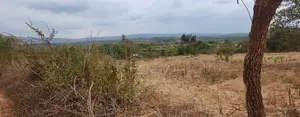 2 Acres Mananja Very Near Tarmac