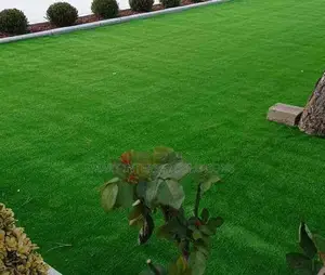 Playground Quality Grass Carpets for Sale – Tsavo Road, Odeon