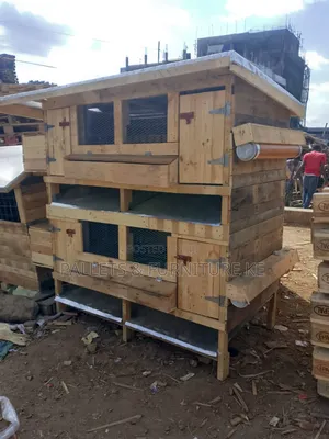 Hoppy And Clean House