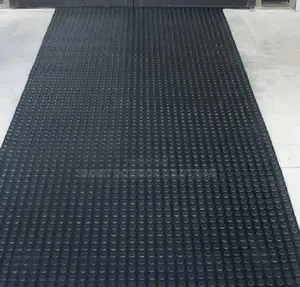Black Flooring Coin Carpet