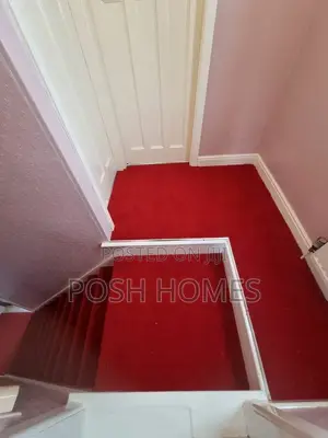 Luxurious Red Delta Carpet 4mm Wide Roll