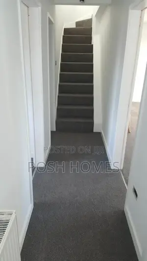 Affordable 4mm Delta Carpet