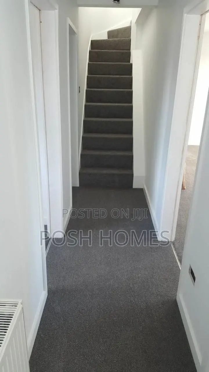 Affordable 4mm Delta Carpet