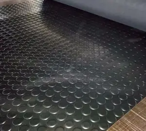 Durable Antislip Coin Carpet