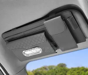 Sun Visor Organizer